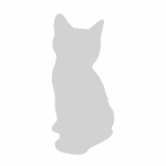 Arabian Mau Breed Photo