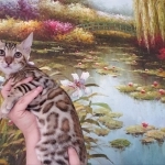 Susanne Profile Photo - Cattery