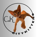 Dmitrii Profile Photo - Breeder