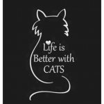 Rose Profile Photo - Cattery