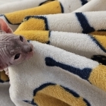Yamilla Profile Photo - Breeder