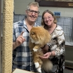 Dino Profile Photo - Breeder