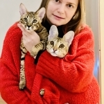 Nataliya Profile Photo - Cattery