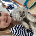 Joann Profile Photo - Breeder