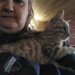 Jennifer Profile Photo - Breeder