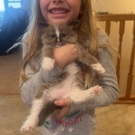 Kelly Profile Photo - Breeder