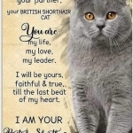 Dani Profile Photo - Breeder