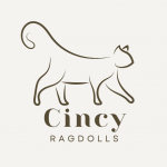Cincy Ragdolls Profile Photo - Cattery