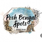 Tabitha Profile Photo - Cattery