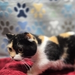 Candace Profile Photo - Breeder