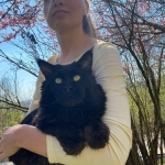 Lisa Profile Photo - Breeder