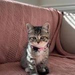 Val Profile Photo - Breeder