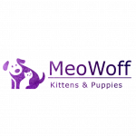 MEOWOFF Profile Photo - Breeder